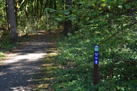 Sign marking the trailhead to the Trillium trail, a natural surface trail